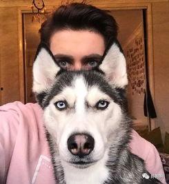 二哈吃瓜娱乐圈百度云,娱乐圈风云录  第3张